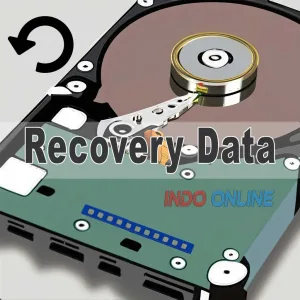 recovery data gresik
